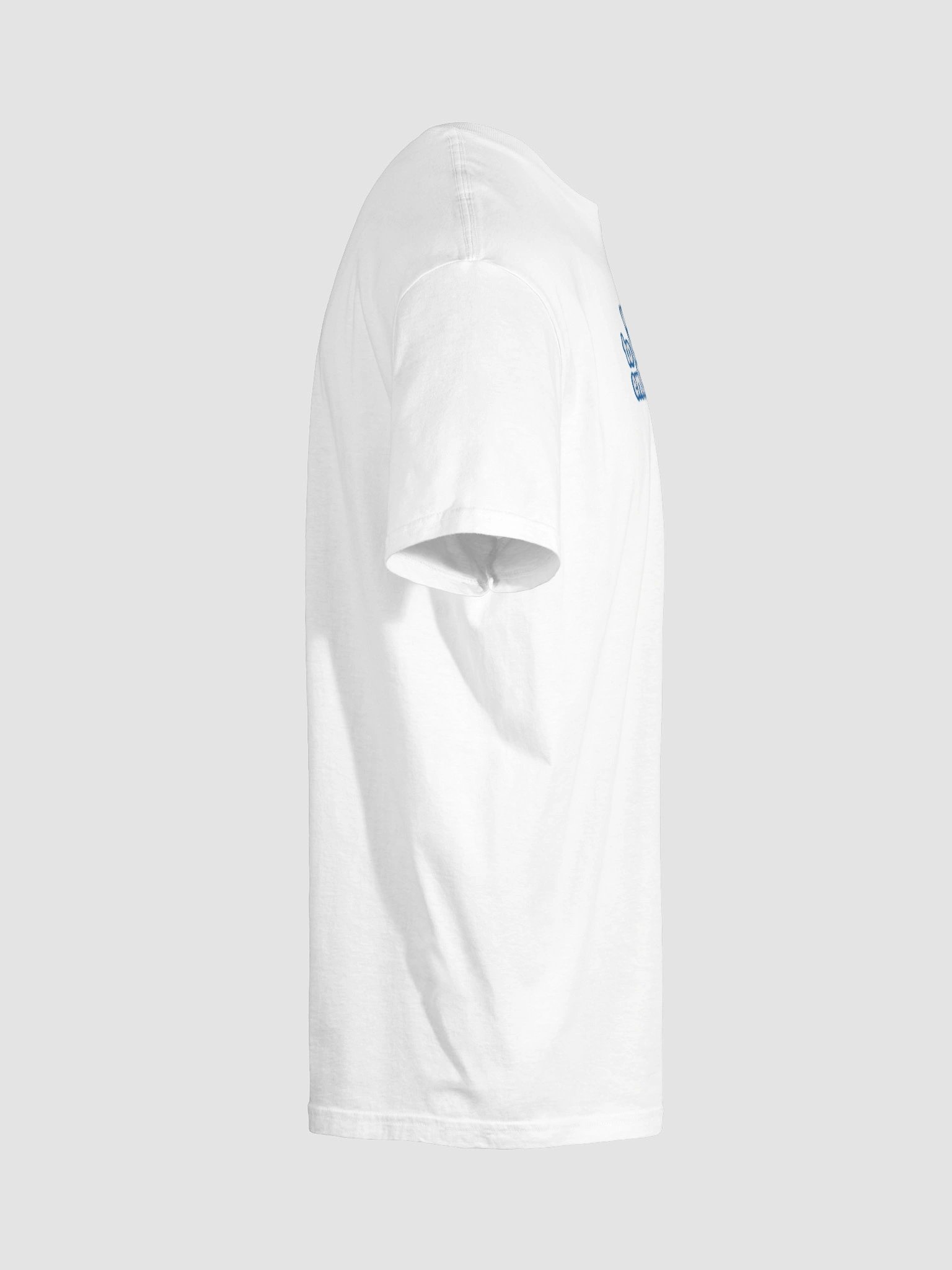 Welcome To The World Of Entertainment Motto T Shirt product image (10)