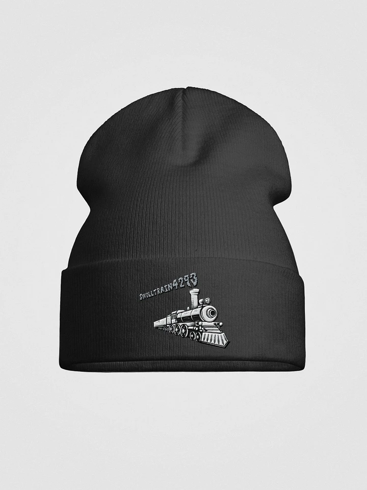 SwollyBeanie product image (3)