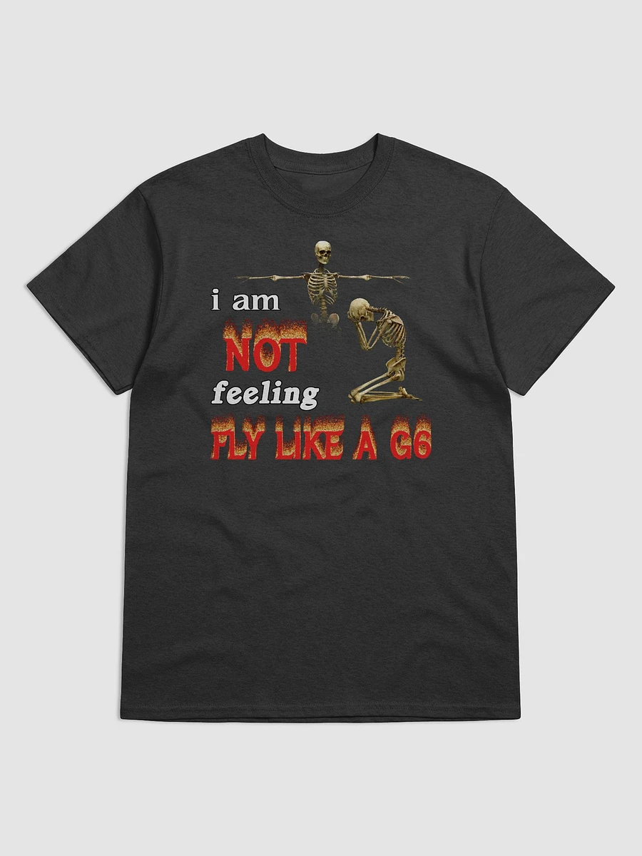 I am NOT feeling fly like a G6 T-shirt product image (1)