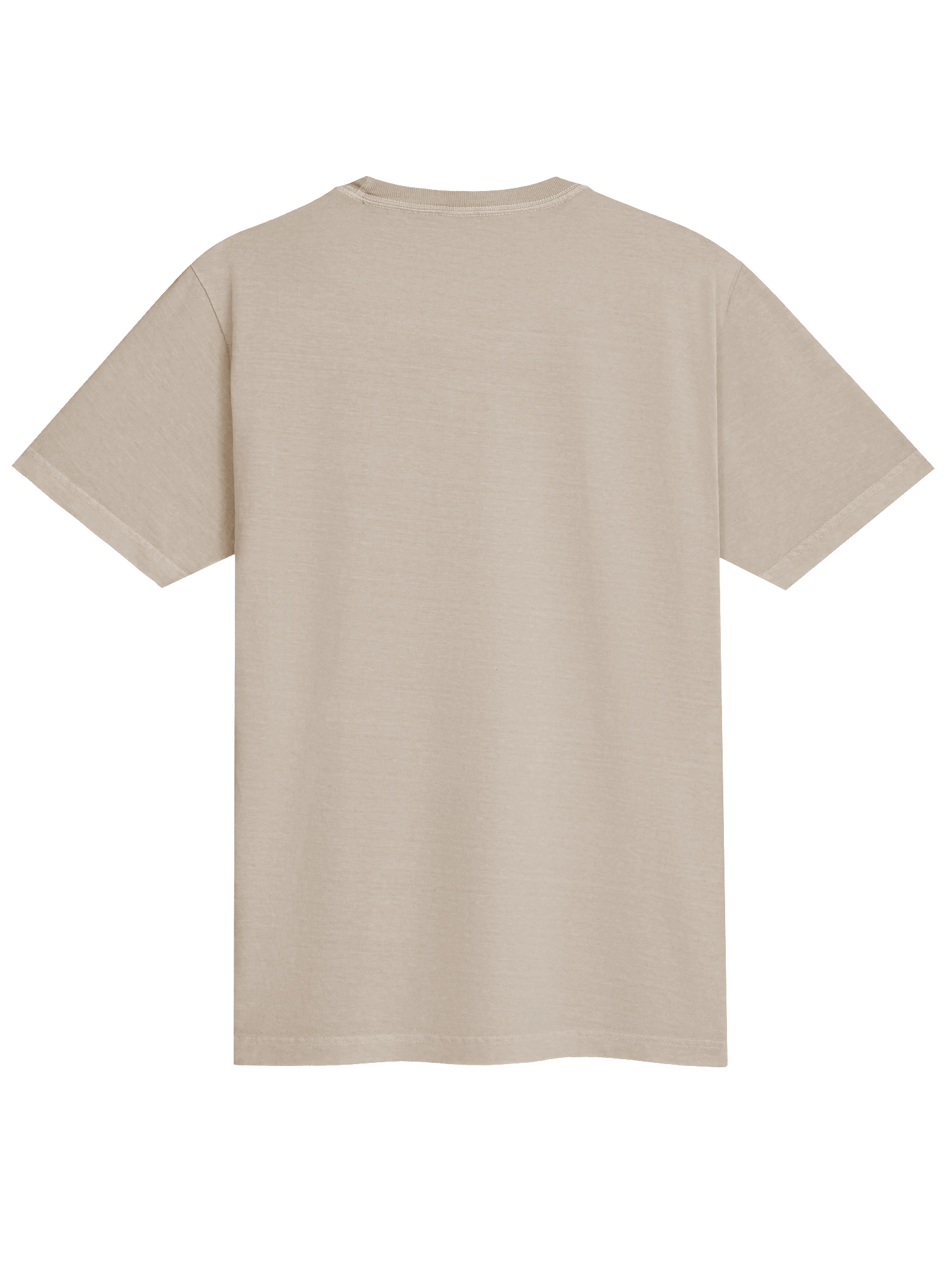 La Joven de la Perla… pero Ramón | Camiseta Unisex OVERSIZE | Edición Limitada product image (3)