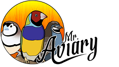 Mr. Aviary