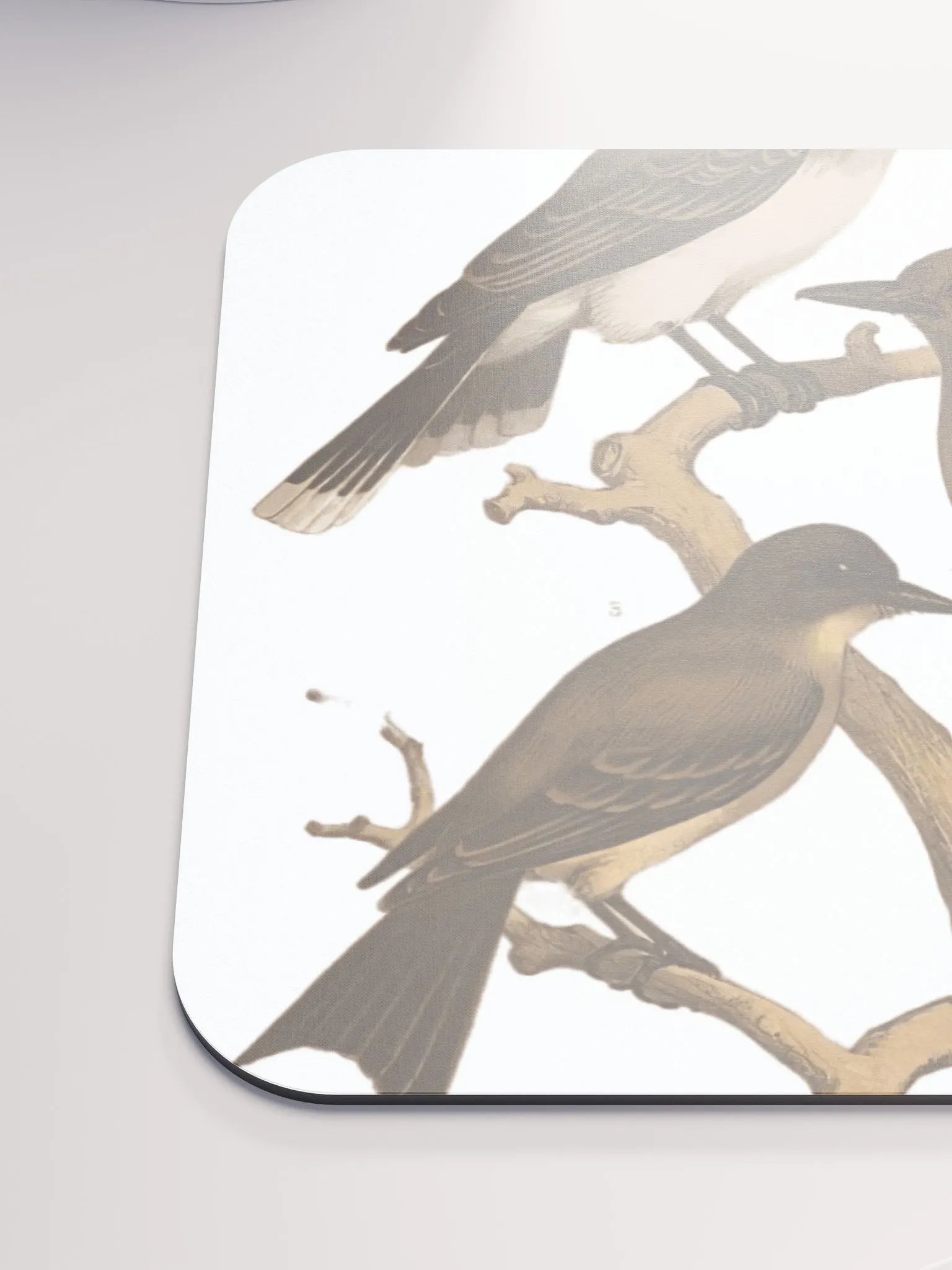 BIRDS IN WINTER product image (6)