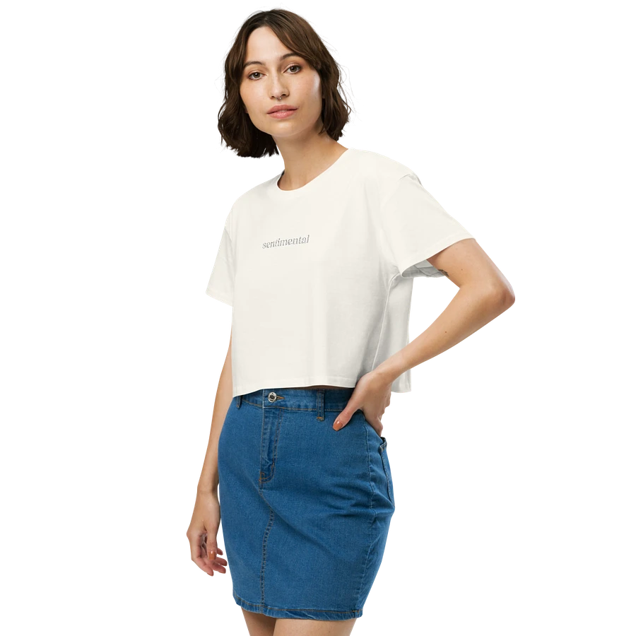 Sentimental Embroidered Crop Top product image (7)