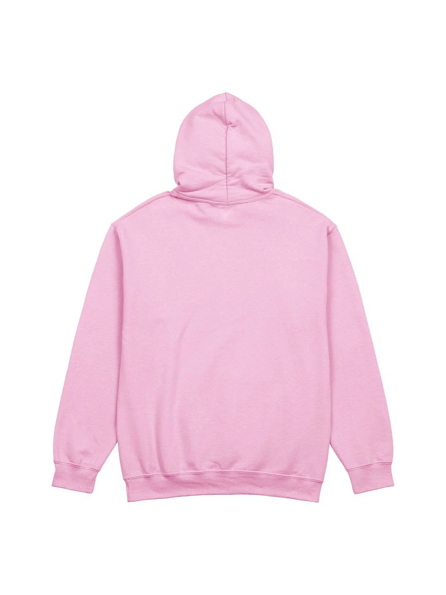 Thrift Diving Hoodie product image (4)