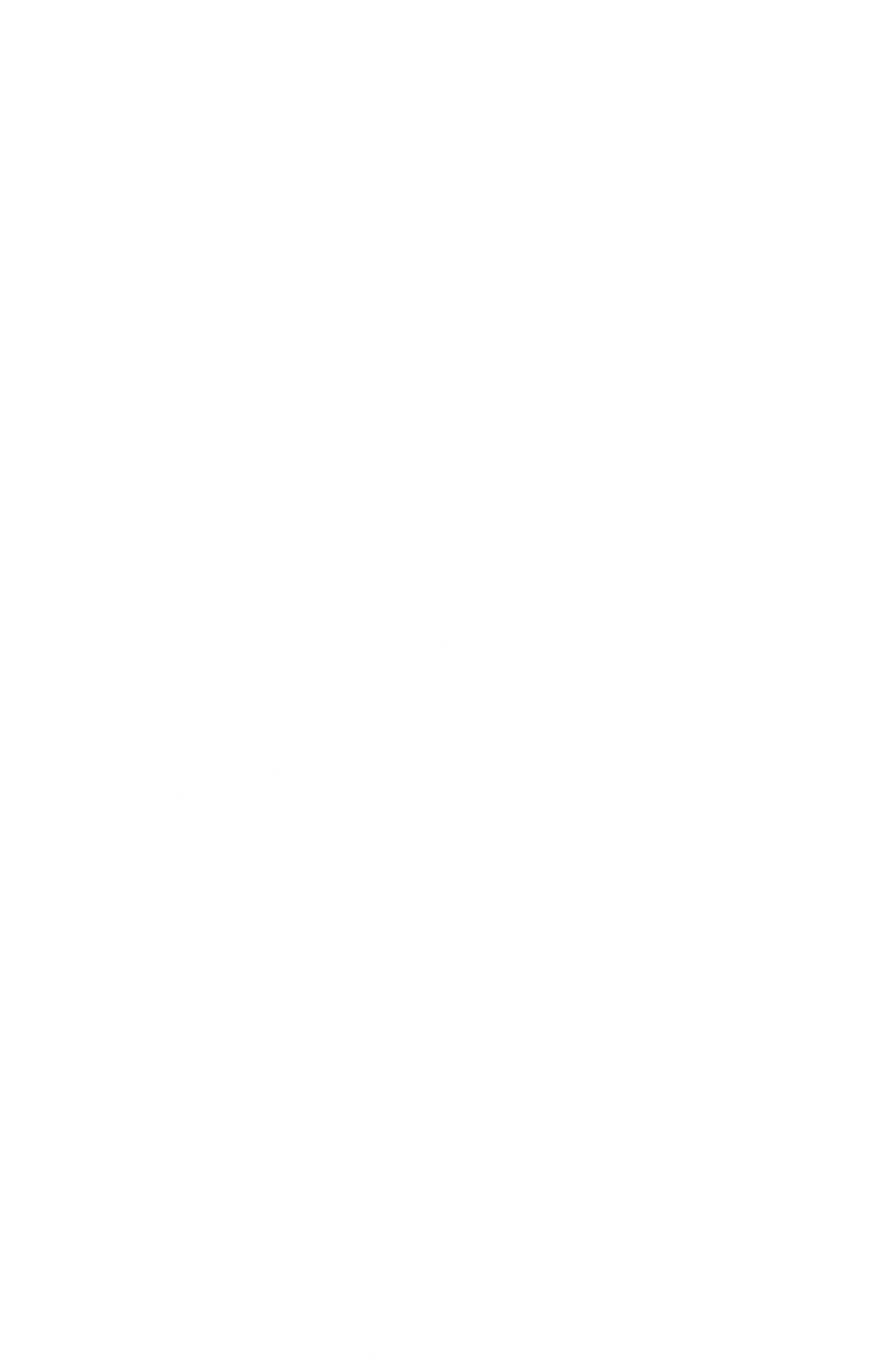 Skullmap - Samarreta product image (5)