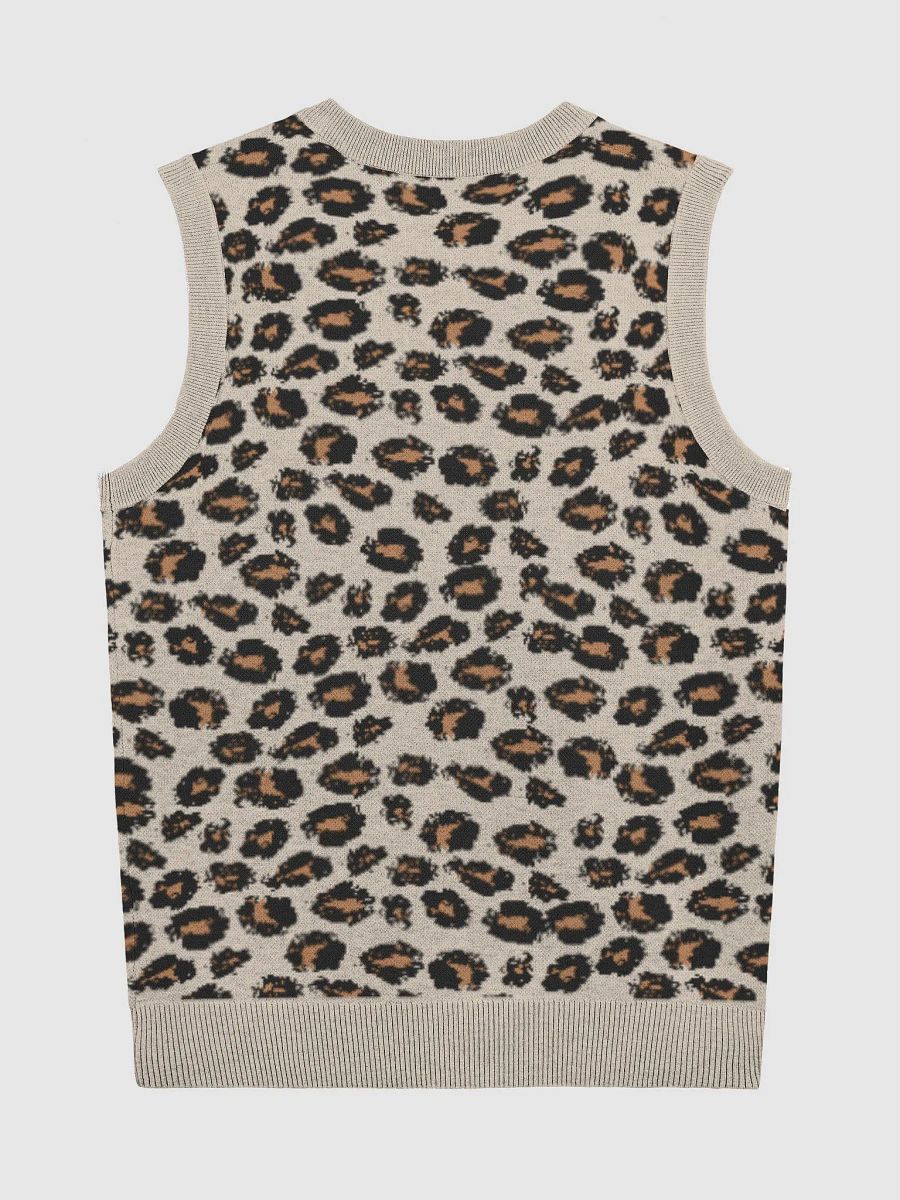 Knitted V-Neck Vest product image (7)