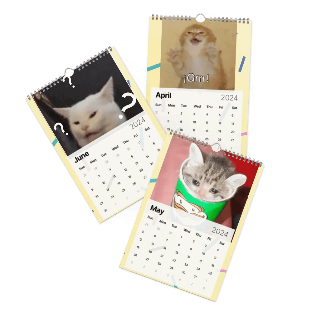 Wall Calendar (2024): Meme Cats product image (3)