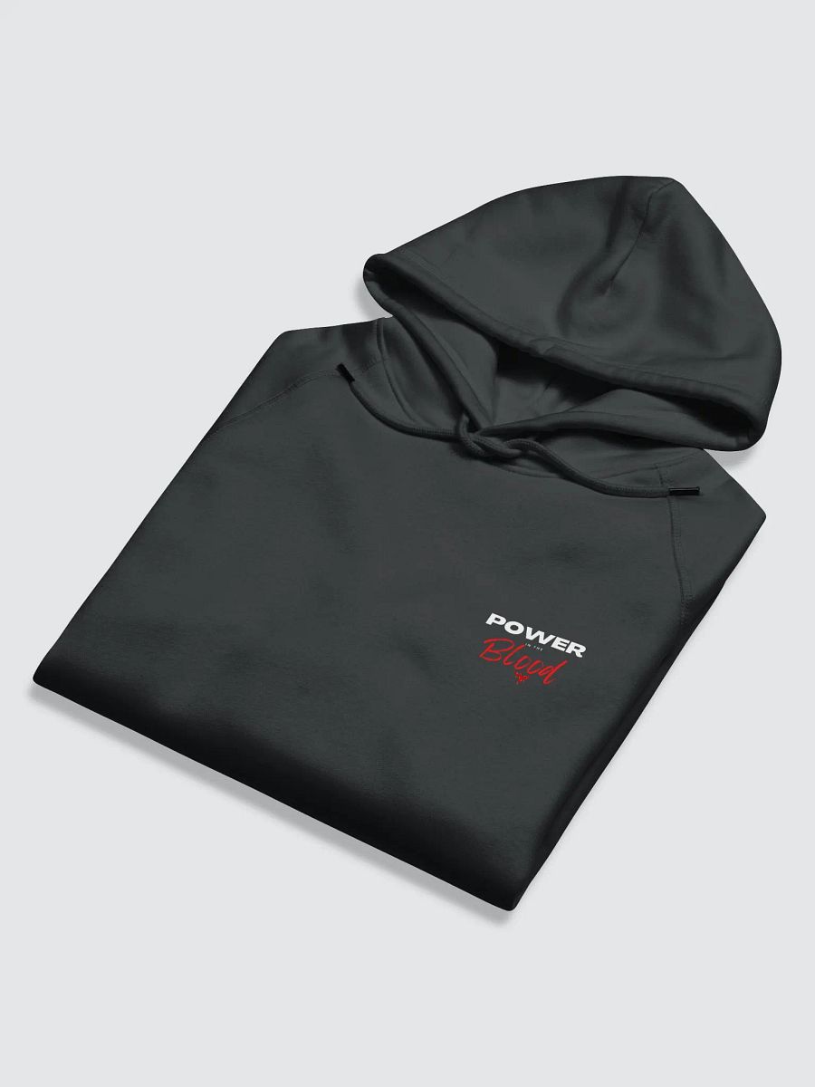 Power In the Blood | Organic Cotton | Hoodie Male product image (5)