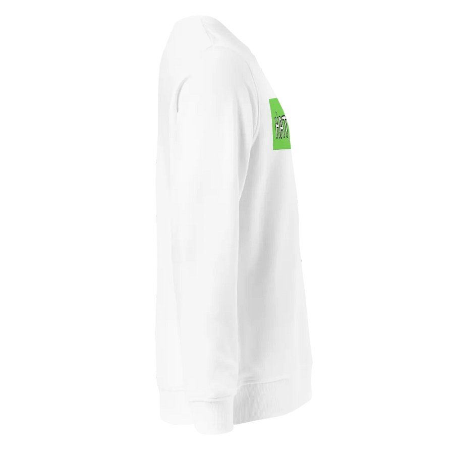 Sweat Shirt product image (3)