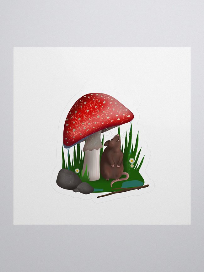 Mushroom Collection