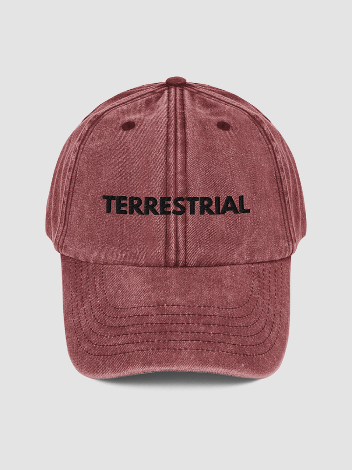 Classic Logo Distressed Hat product image (2)