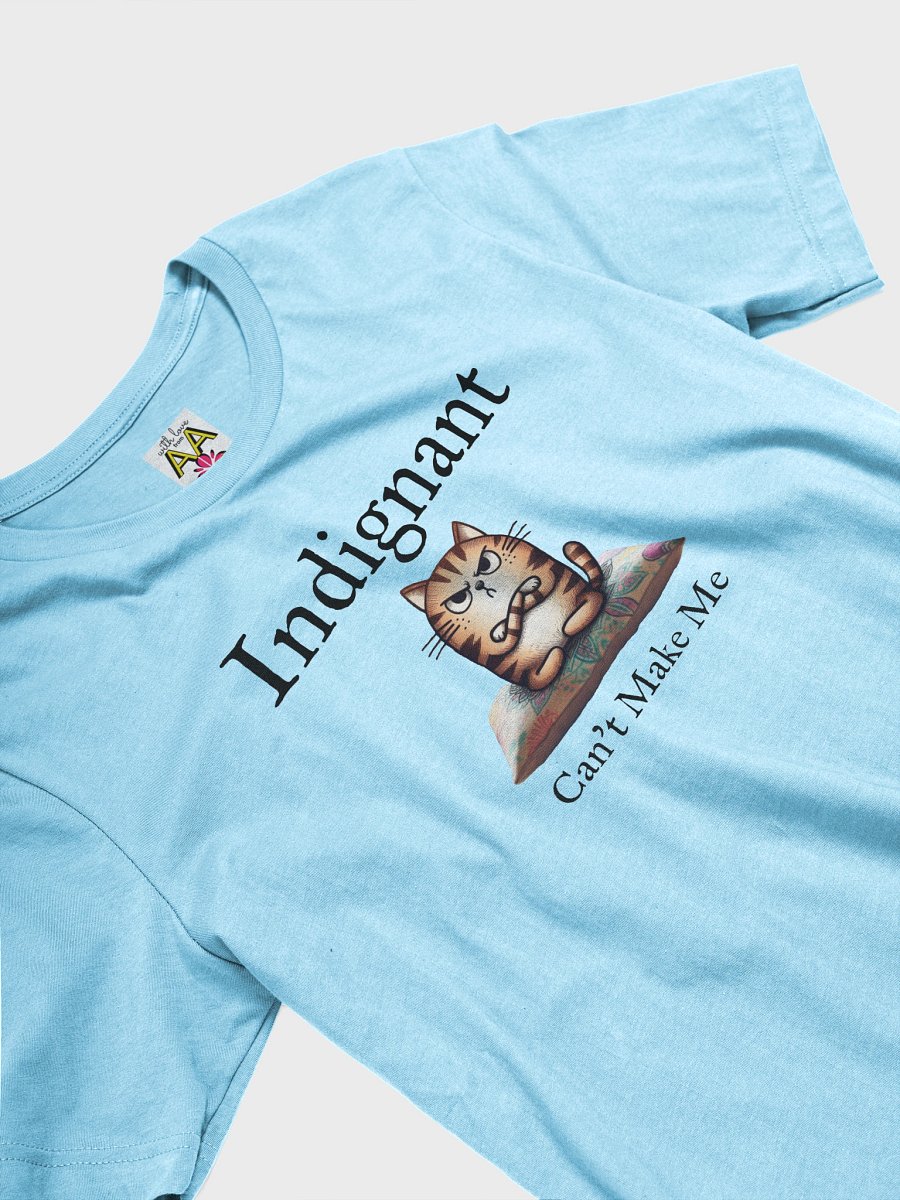 Indignant (Light / Ladies) Tee product image (27)