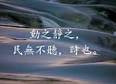 道's tag thumbnail