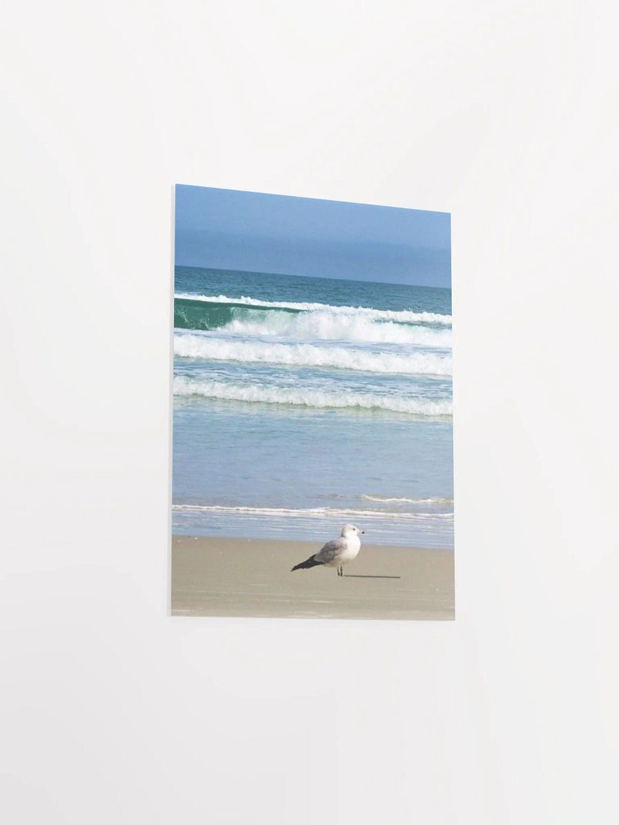 Beach Bird product image (32)