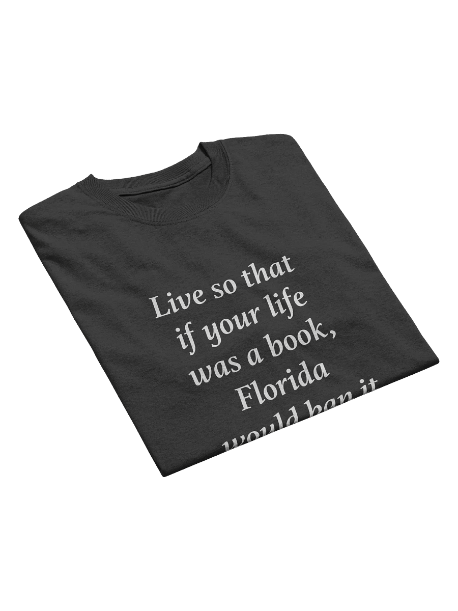 Banned in Florida T-Shirt product image (15)