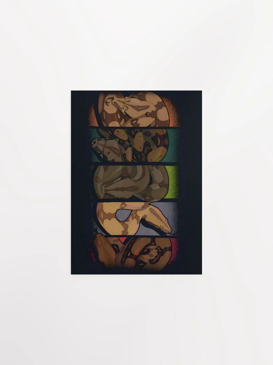 Locality Boas product image (5)