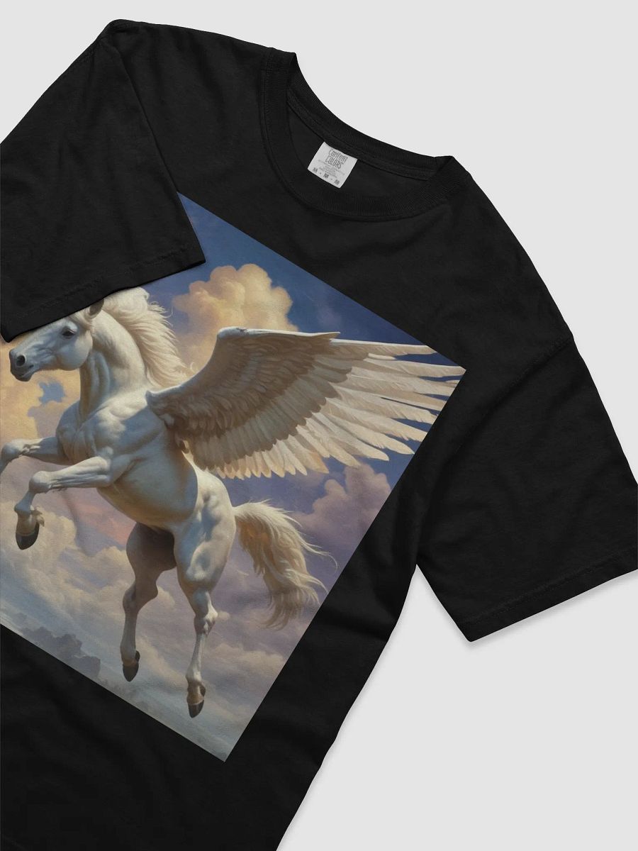 Pegasus product image (17)