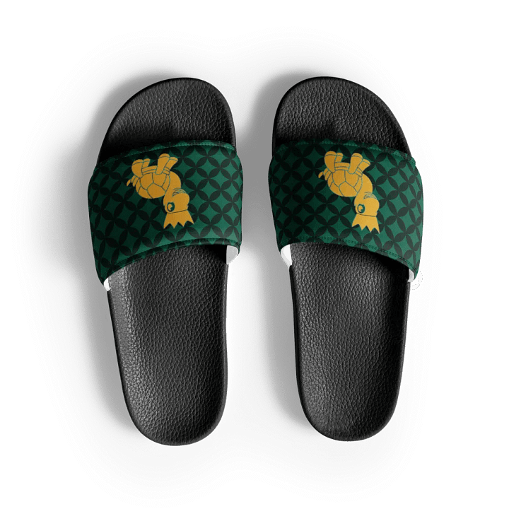 Regal Turtle Crown Women's Slides product image (1)