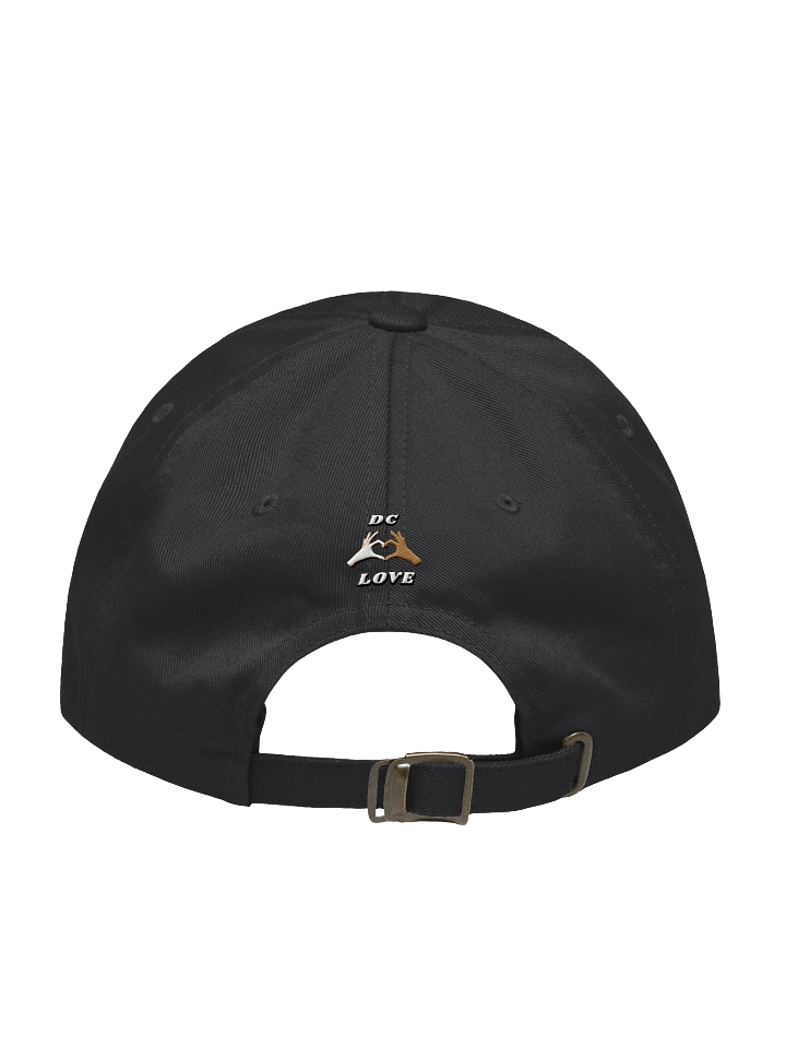 DC-Cap product image (18)