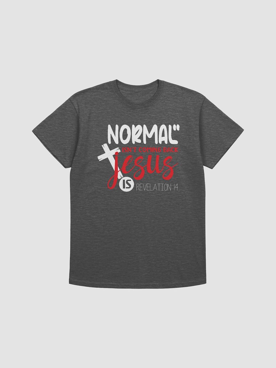 Revelation's Return: T-Shirt product image (14)