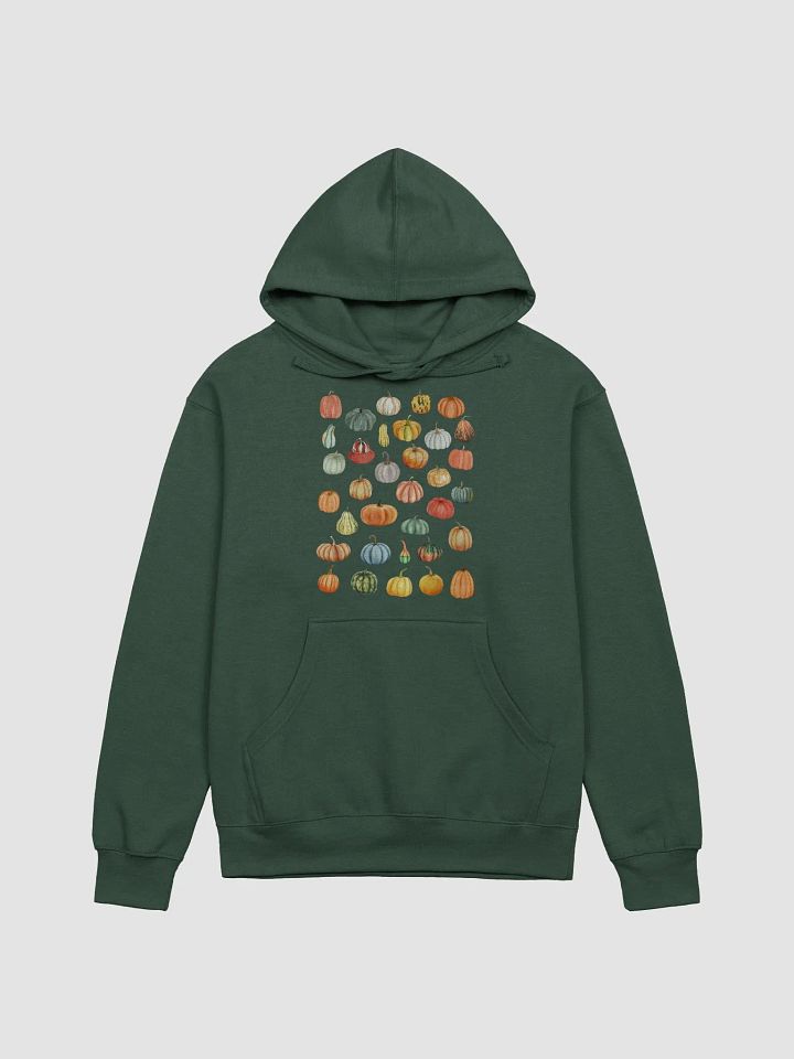 Watercolor Squash & Pumpkin Collage Adult Hoodie product image (1)