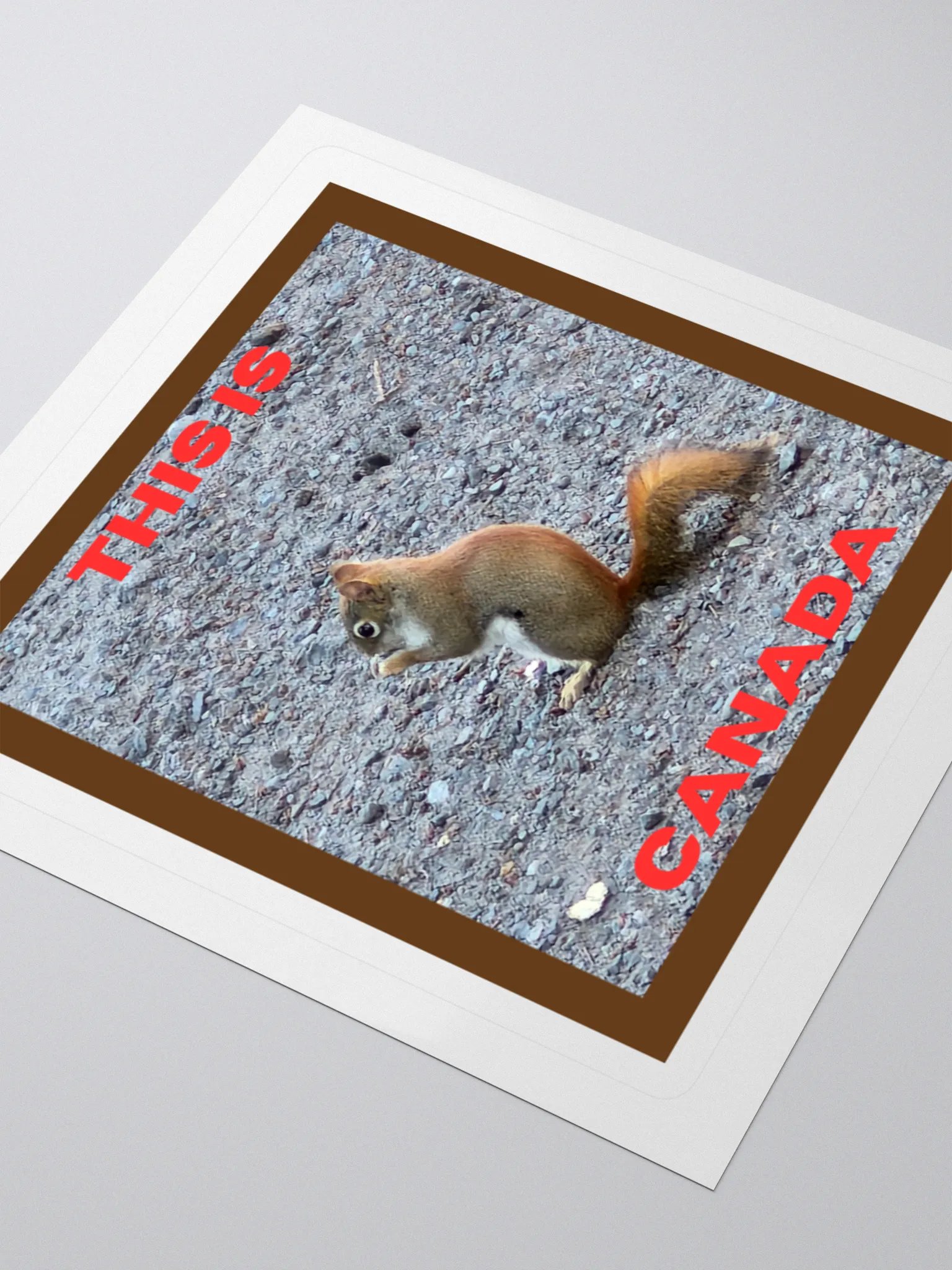 Adorable Red Squirrel Kiss Cut Stickers product image (3)