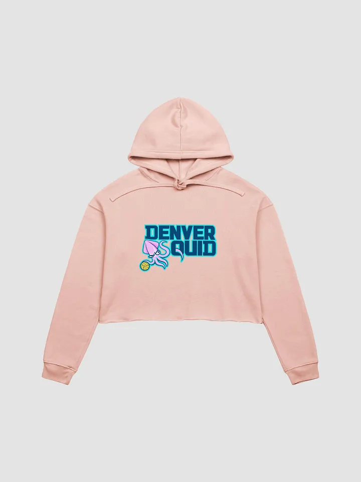 Crop Hoodie - POLO product image (1)