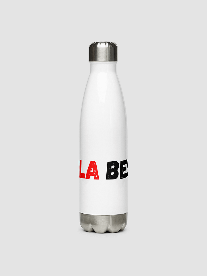 BestInTESLA Stainless Steel Water Bottle product image (1)