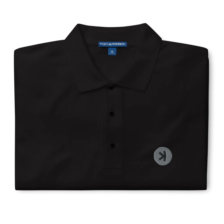 Kaspa Silver Logo Polo T-Shirt (unisex) product image (12)