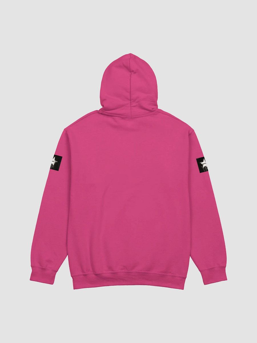 Gallus Hoodies product image (20)