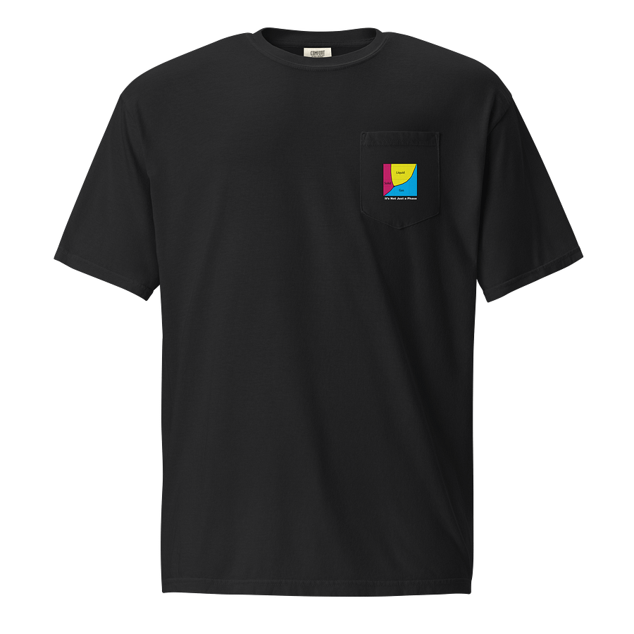 It's Not Just a Phase- Pan Shirt product image (1)