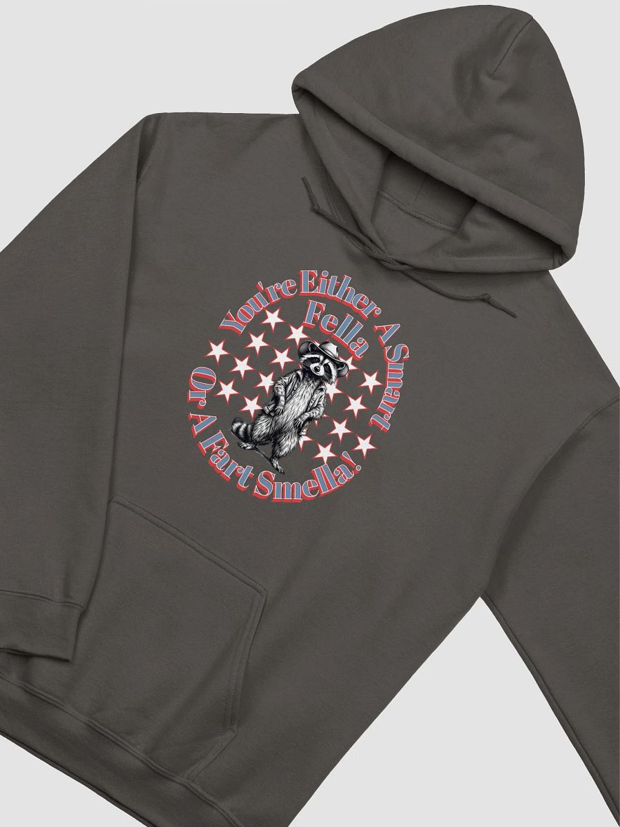 Youre Either A Smart Fella Or A Fart Smella Raccoon Wild West Hoodie product image (4)