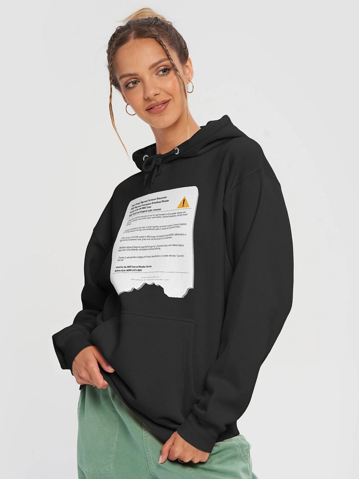 Internal Weather Service: Migraine Report Hoodie product image (2)