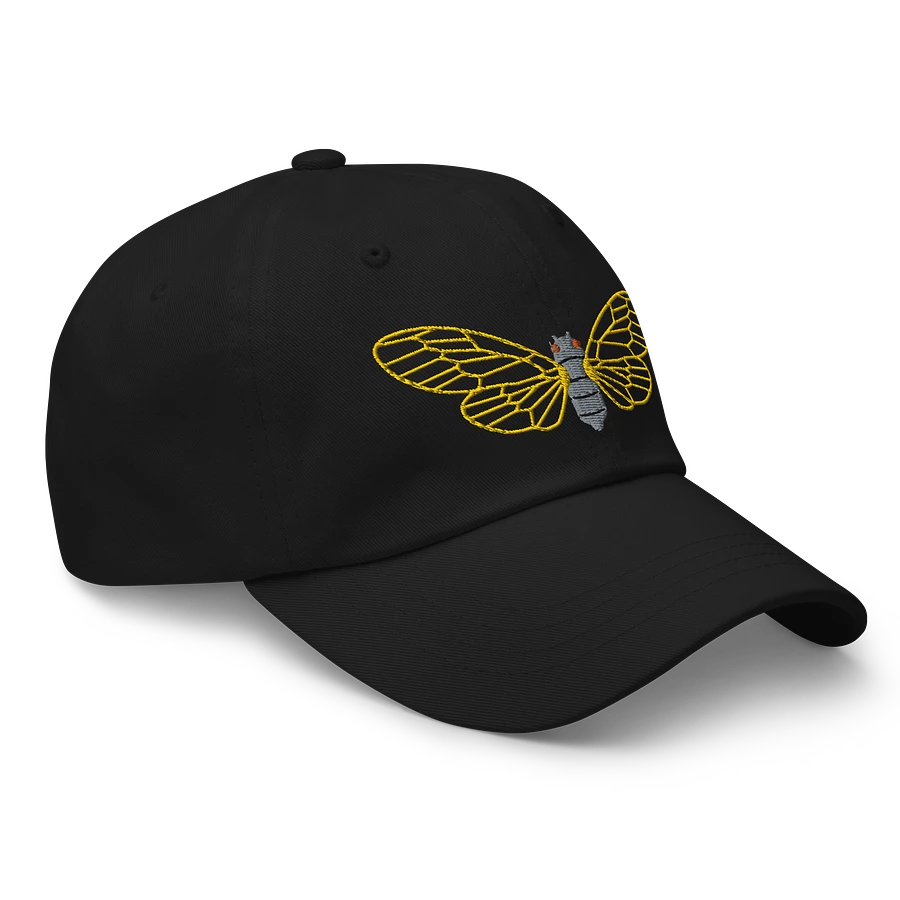 Magicicada Open Wings Embroidered Hat Image 5