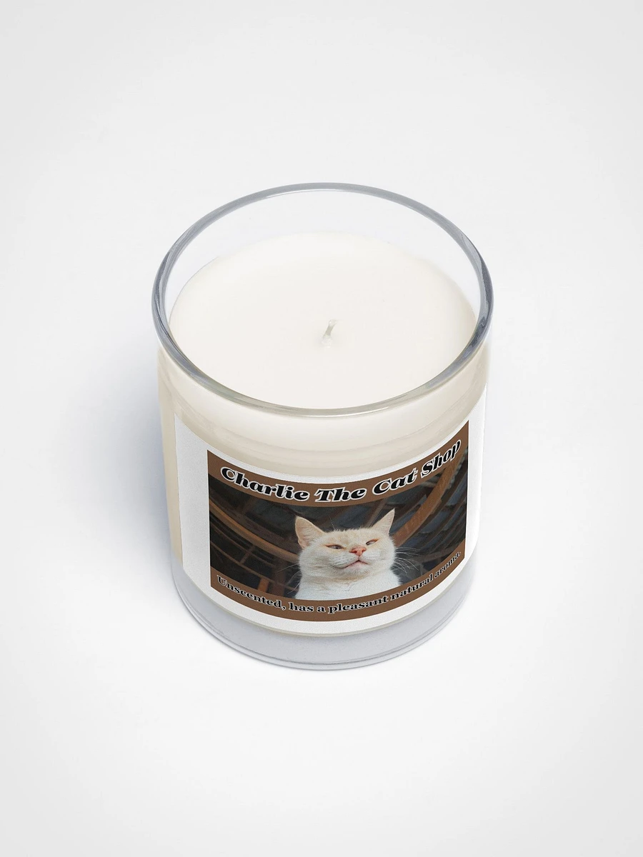 Paws Soy Wax Candle In A Clear Glass Jar product image (3)
