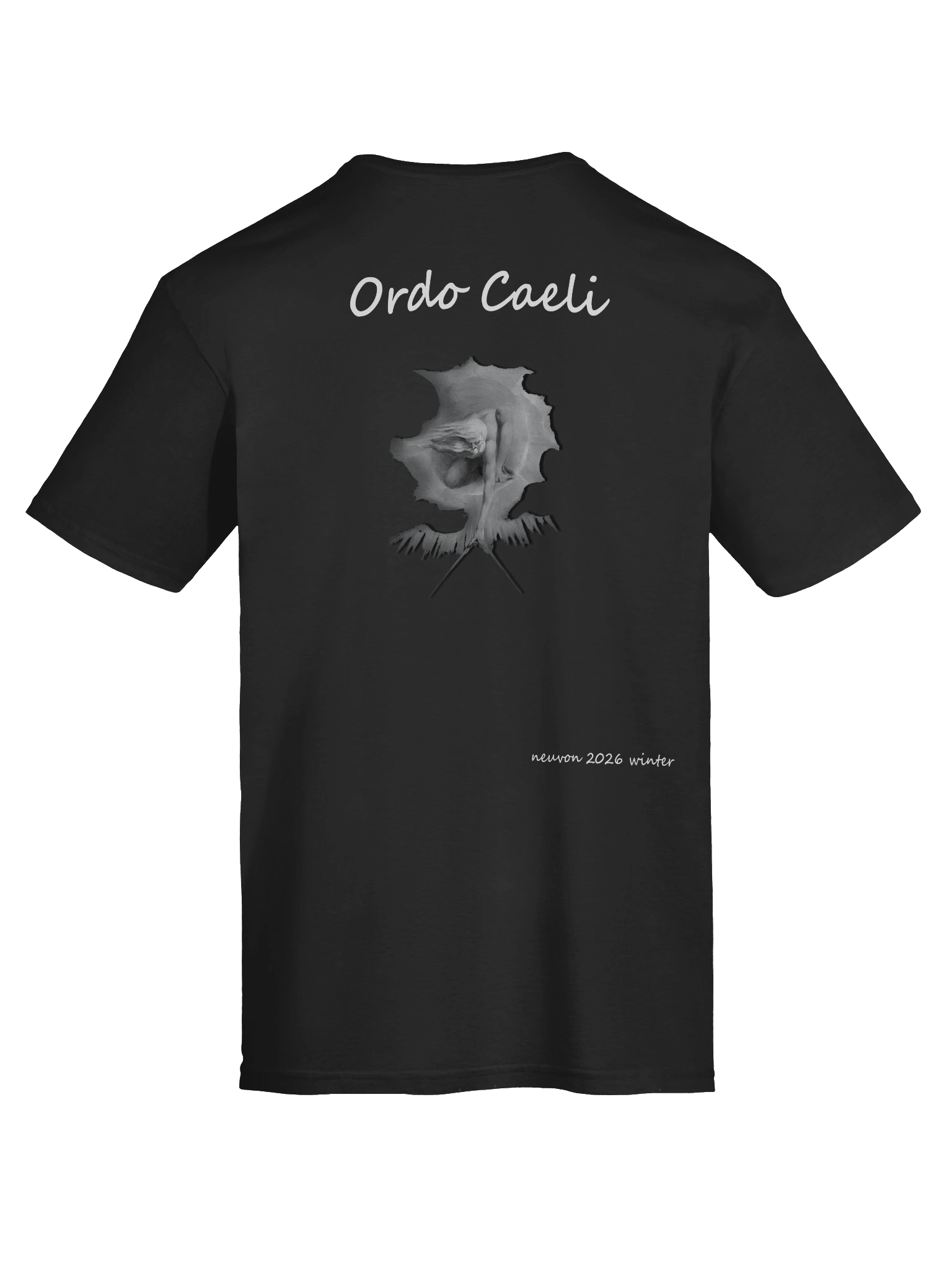 Ordo Caeli Softstyle T-Shirt - Winter 2026 product image (11)