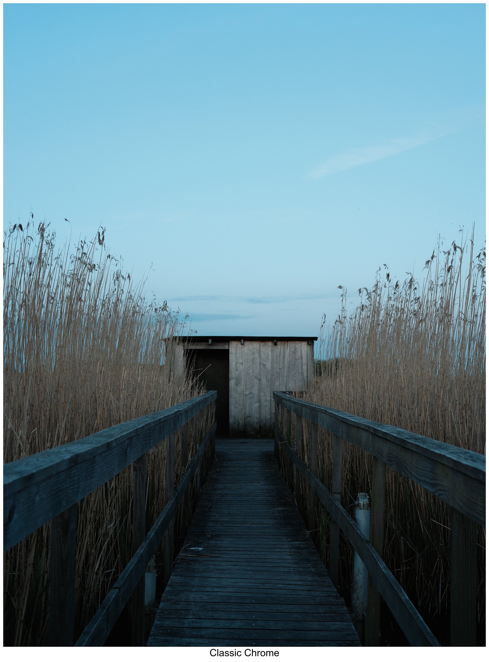 Fujify [Nikon] Lightroom Profiles - Essential Pack product image (3)