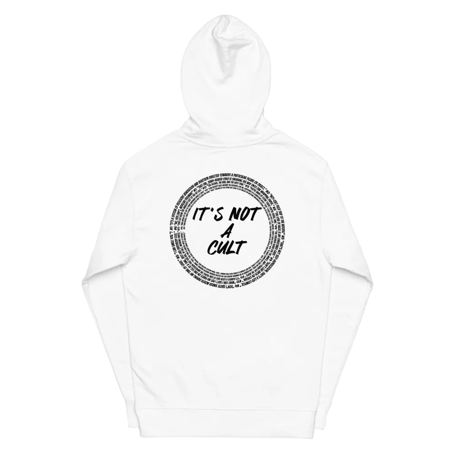 Not-Cult Embroidered Hoodie (LIGHT) product image (7)