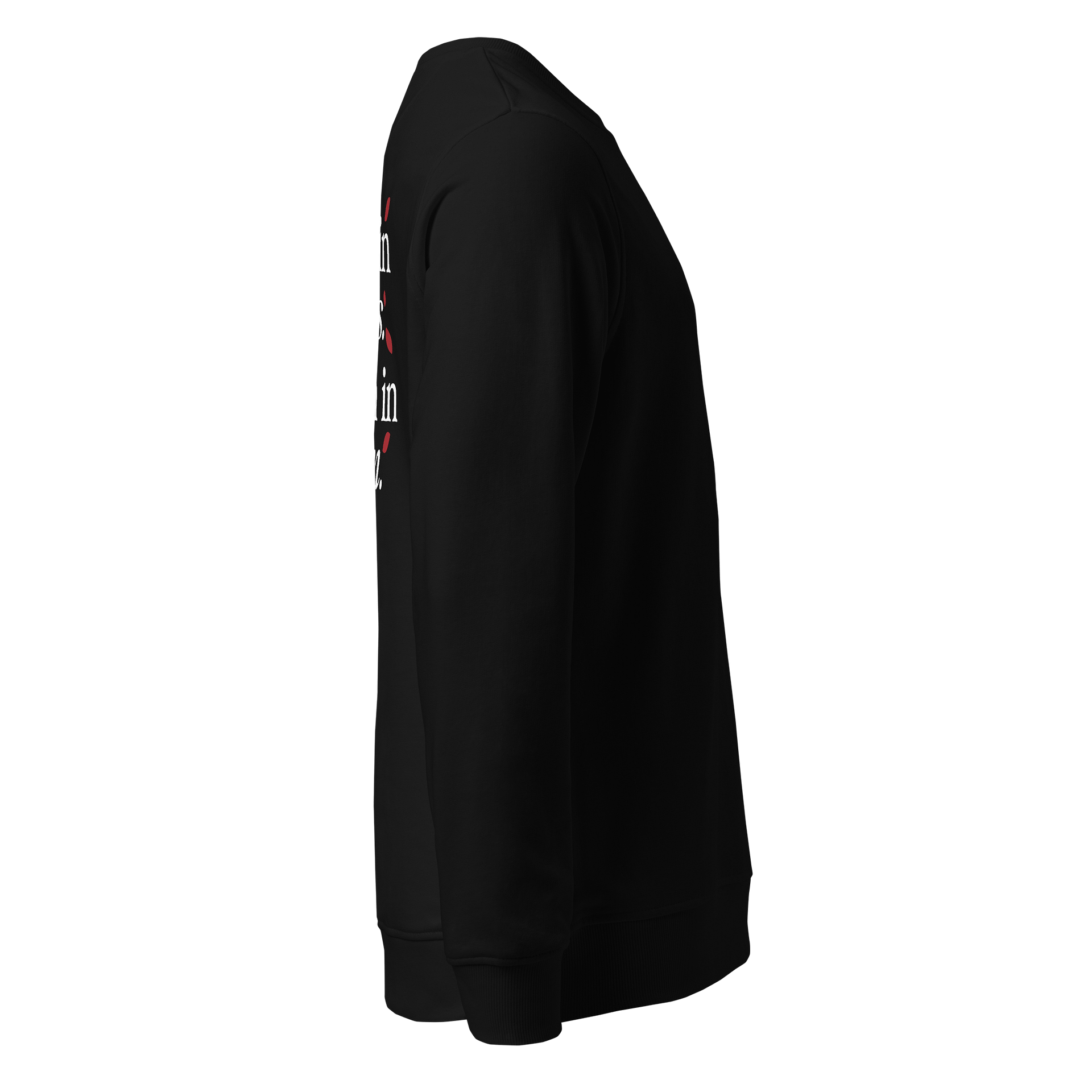 SOL'S Unisex Organic Embroidered Sweatshirt product image (4)