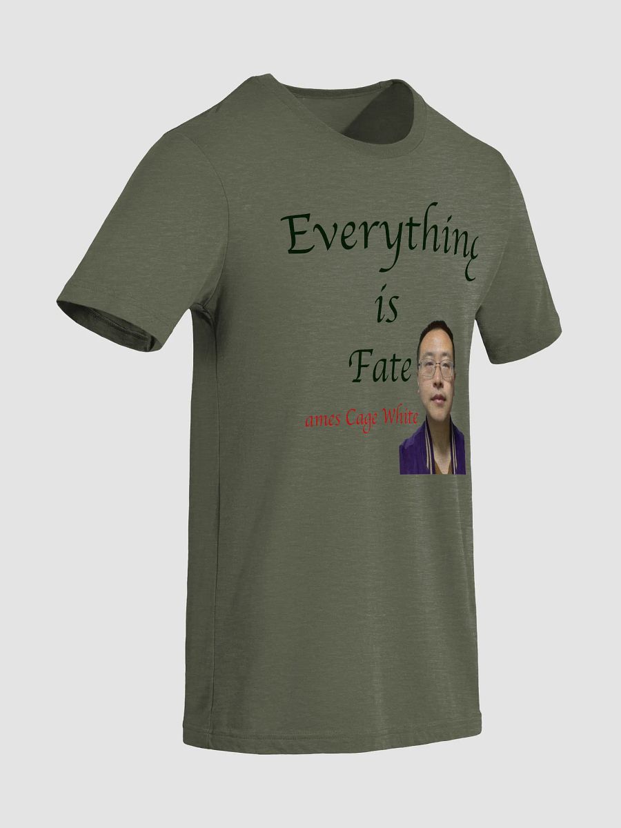 Bella+Canvas Triblend Short Sleeve T-Shirt: fate product image (13)