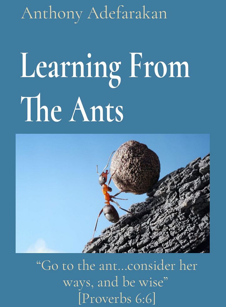 Learning From The Ants _ Ebook product image (1)
