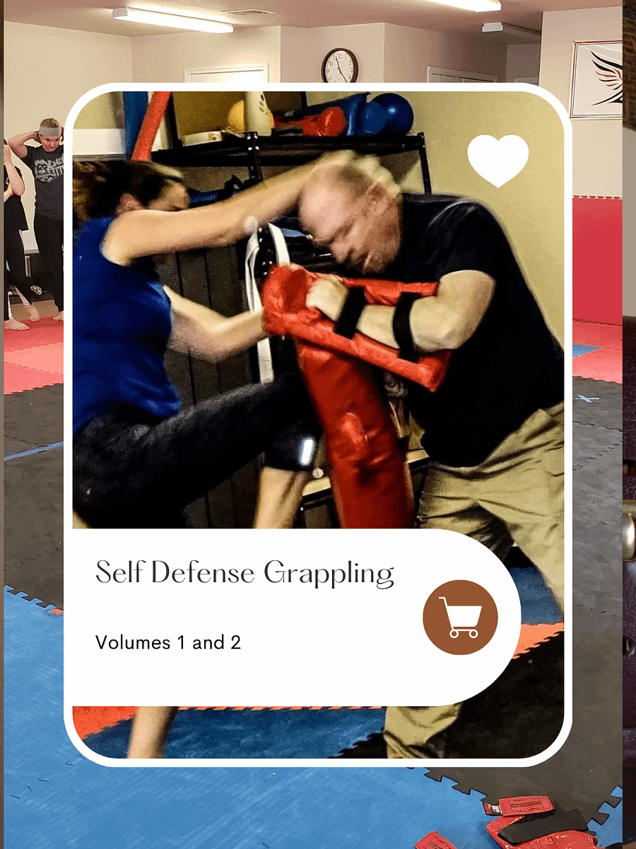 Self Defense Grappling Course product image (1)