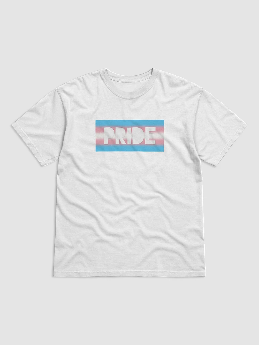 Trans Pride On Display - T-Shirt product image (1)