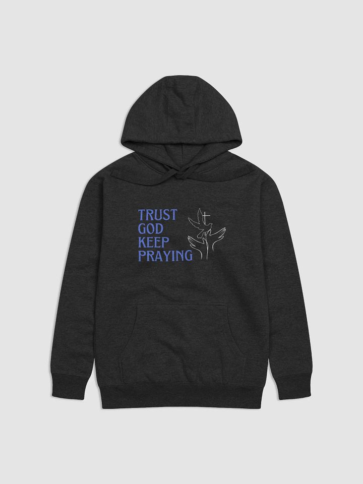 Divine Encouragement Premium Hoodie product image (2)