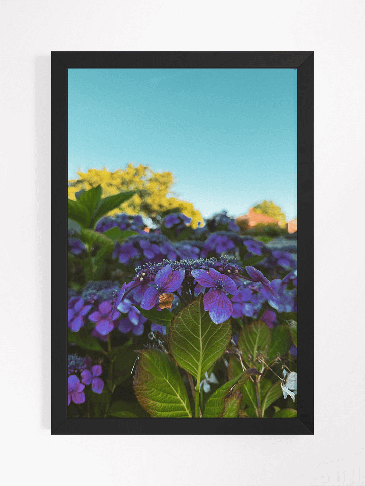 Vibrant Serenity product image (1)