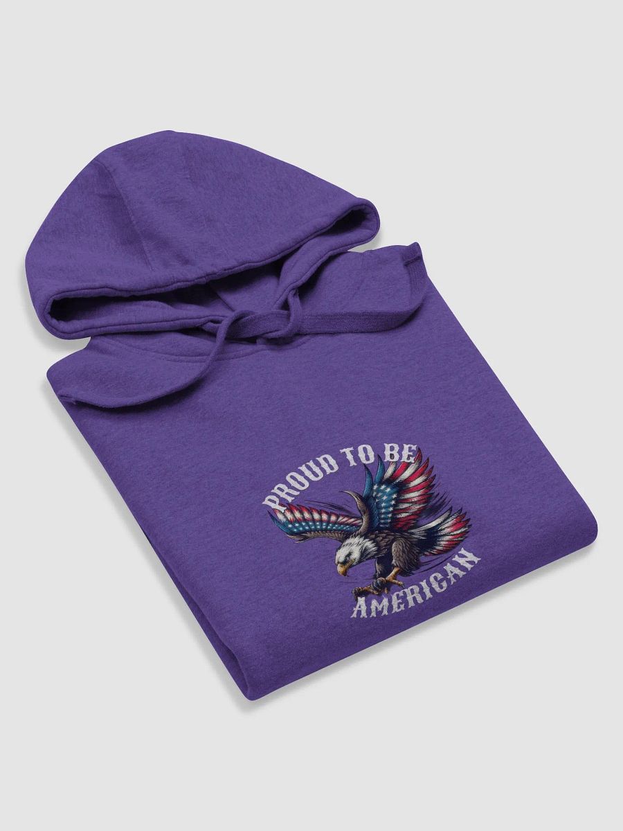 American Hoodie product image (15)