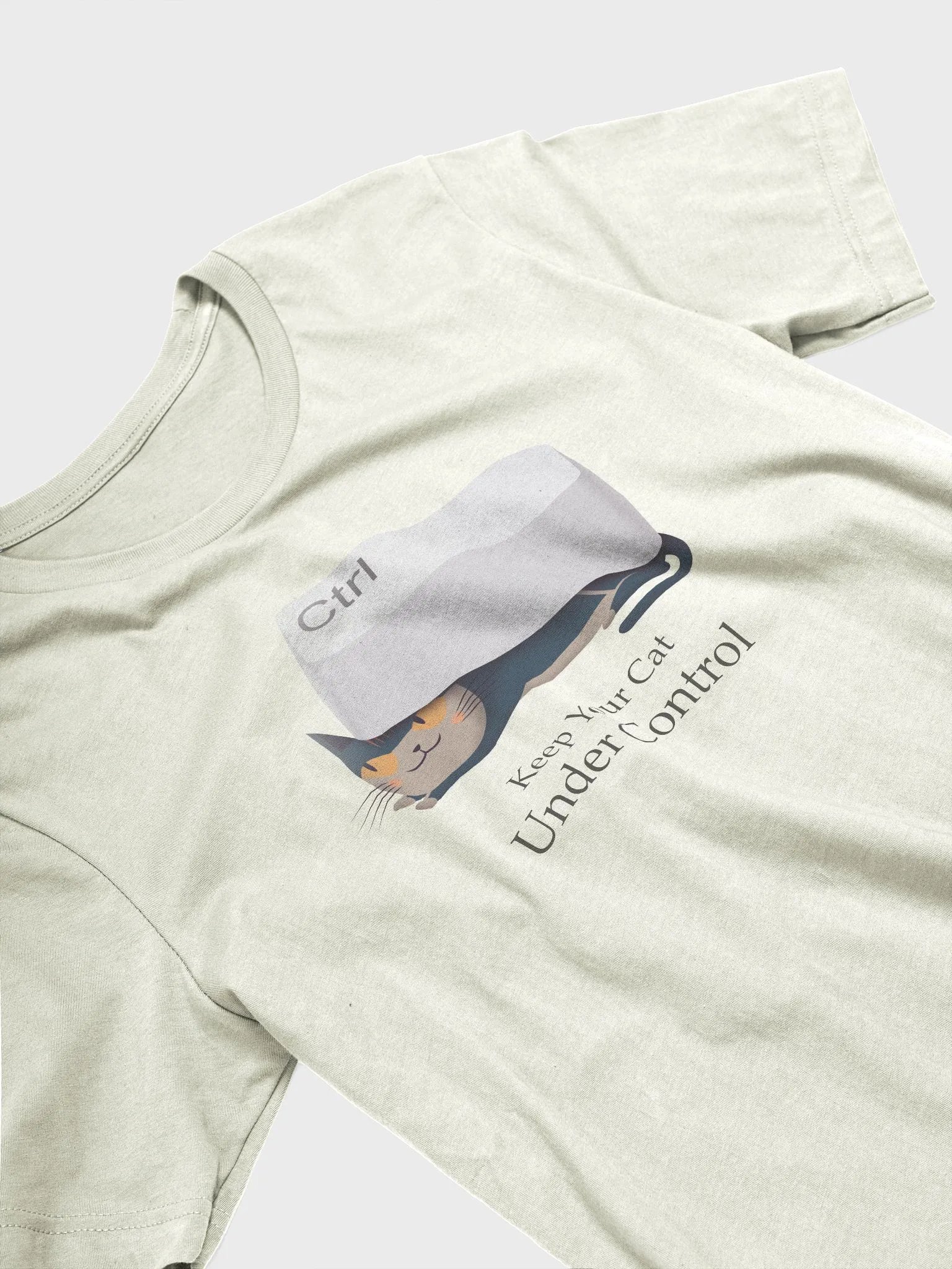 Keep Your Cat Under Control Lightweight Unisex T-Shirt product image (3)