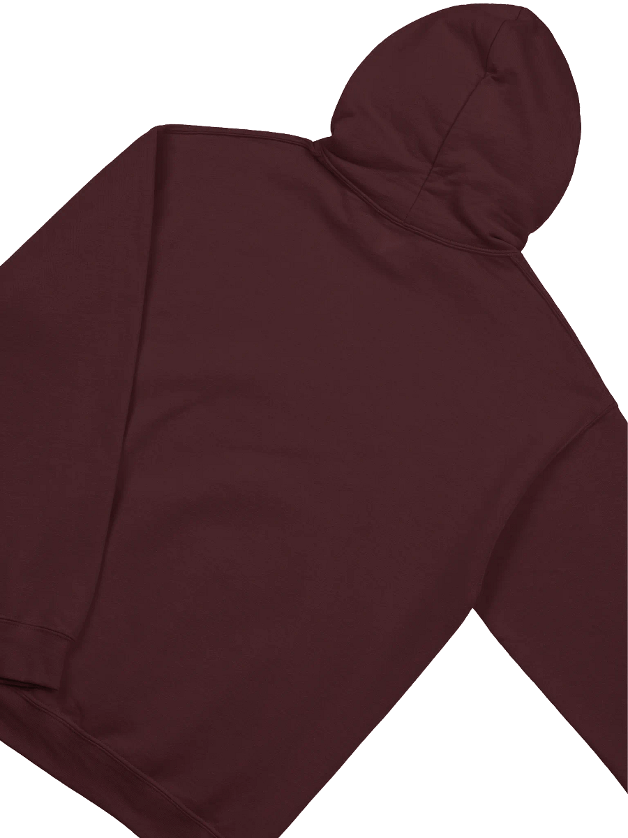 Snowboarder Logo | Hoodie product image (24)