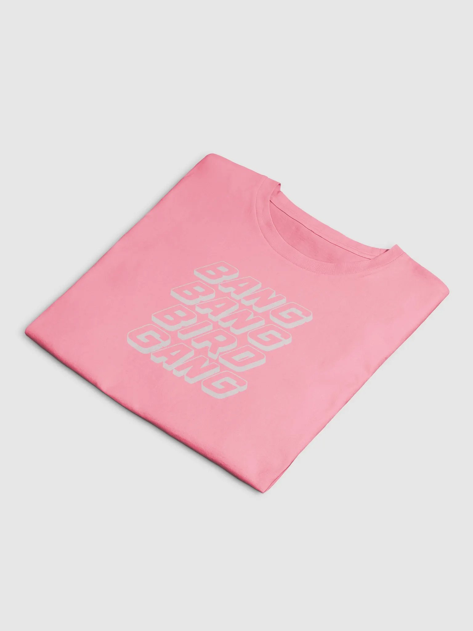 BANG BANG BIRD GANG product image (2)