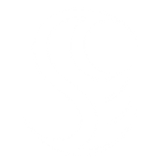 Star Bard Media